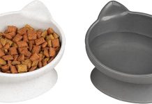Kitty City Raised Cat Ear Bowls Review: Are They Worth the Upgrade for Your Cat’s Mealtime?
