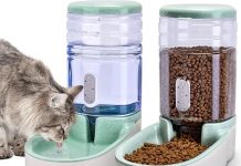 Automatic Dog & Cat Feeder Review: Does It Deliver Convenience for Your Pets?