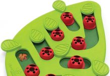 Catstages Buggin’ Out Puzzle & Play Review: Is This Interactive Toy Worth It for Your Cat?