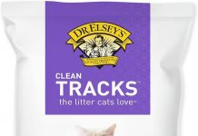 Dr. Elsey’s Clean Tracks Clumping Cat Litter Review: Does It Live Up to the Hype?