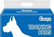 COCOYO Training Pads Review: Are These XXL Pads Worth the Hype for Your Puppy?