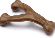 Benebone Wishbone Review: Does This Durable Chew Toy Live Up to Its Tough Reputation?