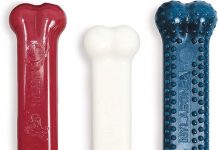 Nylabone Power Chew Toy Review: Does It Hold Up for Aggressive Chewers?