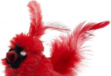 OurPets Play-N-Squeak Cat Toy Review: Does the Chirping Bird Really Engage Indoor Cats?