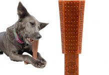 SPOT Bam-Bones Plus T-Bone Review: Is It the Ultimate Chew Toy for Aggressive Chewers?