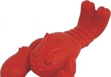 Nylabone Lobster Power Chew Toy Review: Is It Durable Enough for Aggressive Chewers?