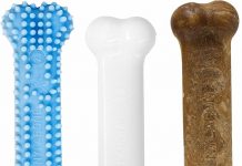 Nylabone Puppy Chew Toys & Treats Review: Are They Worth It for Small Dogs?