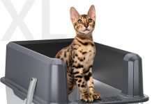 WoofiGo XL Stainless Steel Cat Litter Box Review: Is It the Ultimate Odor-Free Solution?