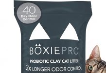 Boxie Probiotic Cat Litter Review: Does 40-Day Odor Control Live Up to the Hype?