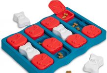 Outward Hound Dog Brick Puzzle Review: Is This Interactive Toy Worth the Hype?