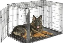 New World 48-Inch Double Door Dog Crate Review: Is It Worth the Price for Large Breeds?