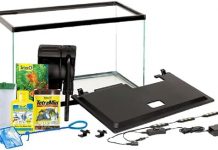 Tetra 10 Gallon Aquarium Kit Review: Is This Complete Tropical Fish Tank Worth It?