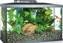 Marina LED Aquarium Kit 10 Gallon Review: Is It Worth the Investment for Beginners?