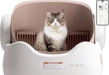 Self Cleaning Litter Box Review: Is KITPLUS Worth It for Multi-Cat Homes?