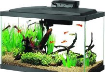 Aqueon Aquarium Fish Tank Starter Kit Review: Is It Worth the Investment for Beginners?