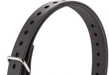 Garmin BarkLimiter Deluxe Review: Is This Rechargeable Training Collar Worth the Investment?