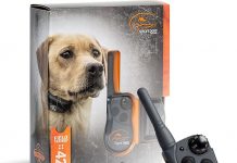 SportDOG 425X Review: Worth the Investment for Dog Training Success?