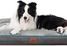 Bedsure Washable Dog Bed Review: Is It Worth the Comfort for Larger Dogs?