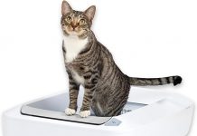 PetSafe ScoopFree Crystal Plus Litter Box Review: Is the Self-Cleaning System Worth It?