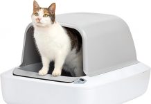 PetSafe ScoopFree Crystal Pro Litter Box Review: Is It Worth the Investment?