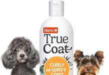 Hartz True Coat Curly & Wavy Dog Shampoo Review: Does It Live Up to Its Promises?