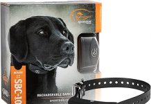 SportDOG NoBark 10 Collar Review: Is This Rechargeable Bark Collar Worth the Investment?