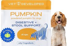 Native Pet Pumpkin for Dogs Review Is This Organic Digestive Supplement Worth It