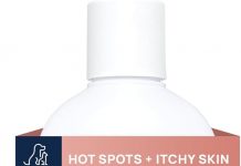 Veterinary Formula Clinical Care Hot Spot & Itch Relief Shampoo Review: Does It Really Work?