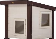 New Age Pet ECOFLEX Outdoor Cat House Review: Is It Worth the Investment for Your Cat?