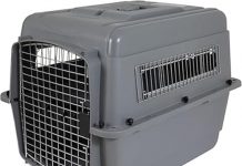 Petmate Sky Kennel Review: Is This Airline-Approved Dog Crate Worth the Investment?