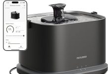 PETLIBRO Dockstream 2 Review: Is This Smart Cat Fountain Worth Your Money?