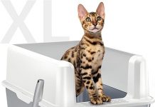 WoofiGo Stainless Steel Cat Litter Box Review: Is It Worth the Investment for Big Cats?