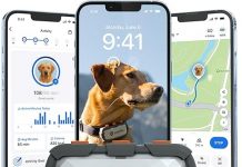 Tractive XL Smart Dog GPS Tracker Review: Is It Worth the Investment for Pet Safety?