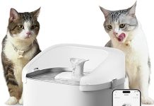 PETLIBRO RFID Multi Cats Water Fountain Review: Is It Worth the Investment for Pet Parents?