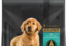 Purina Pro Plan High Protein Puppy Food Review: Is It Worth the Price for Your Pup?