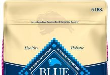 Blue Buffalo Life Protection Formula Senior Dry Dog Food Review: Is It Worth the Price?
