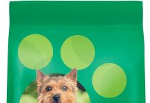 IAMS Proactive Health Small Breed Dog Food Review: Is It Worth the Hype for Your Pet?