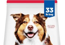 Hill’s Science Diet Adult 7+ Dog Food Review: Is It the Best Choice for Senior Dogs?