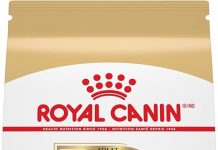 Royal Canin Yorkshire Terrier Adult Dry Dog Food Review – Is It Worth Your Yorkie’s Diet?