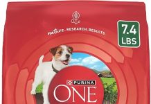 Purina One Small Breed Lamb & Rice Dog Food Review: Is It Worth Your Money?