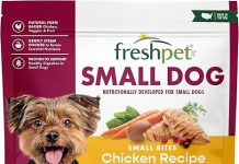 Freshpet Grain Free Chicken Recipe Review for Small Dogs – Worth the Price?