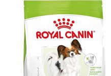 Royal Canin X-Small 7+ Adult Dog Food Review: Is It Worth the Price for Seniors?