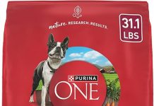 Purina ONE Small Bites Beef & Rice Formula Review: Is It Worth the Price for Your Dog?