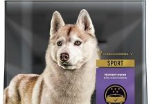 Purina Pro Plan High Protein Dog Food Review: Is It Worth the Price for Active Dogs?