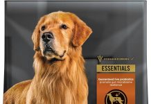 Purina Pro Plan Shredded Blend Lamb & Rice Dog Food Review: Is It Worth the Price?