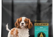 Purina Pro Plan Small Breed Puppy Food Review: Is It Worth the High Protein Price?