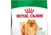 Royal Canin Small Indoor Adult Dry Dog Food Review: Worth the Price for Small Dogs?