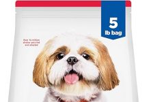 Hill’s Science Diet Adult 7+ Dog Food Review: Is It Worth the Premium Price for Seniors?