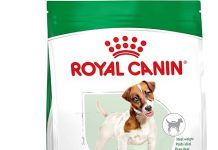 Royal Canin Small Adult Dry Dog Food Review: Is It Worth the Price for Your Pet?