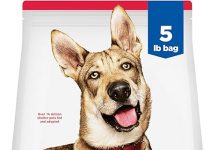 Hill’s Science Diet Adult 1-6 Review: Is This Chicken & Barley Dog Food Worth It?
